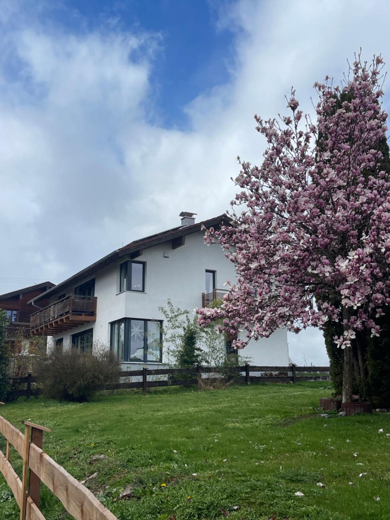 אירשנברג Appartment 53Qm Im Architektenhaus - 2 Schlafzimmer Mit Kueche Und Bad, Nur 2Min Von A8 - Ruhig Und Modern מראה חיצוני תמונה